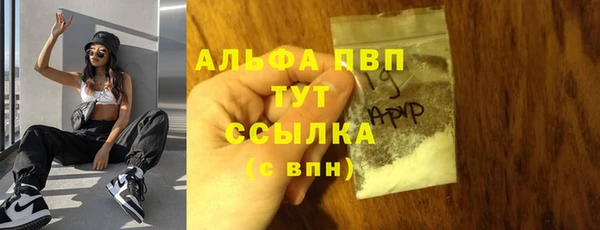 МДПВ Гусев