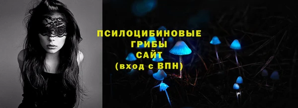 MDMA Premium VHQ Гусиноозёрск