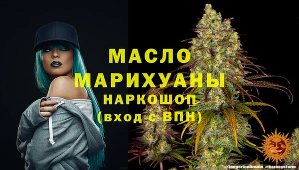 МДПВ Гусев