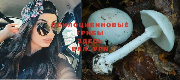 MDMA Premium VHQ Гусиноозёрск