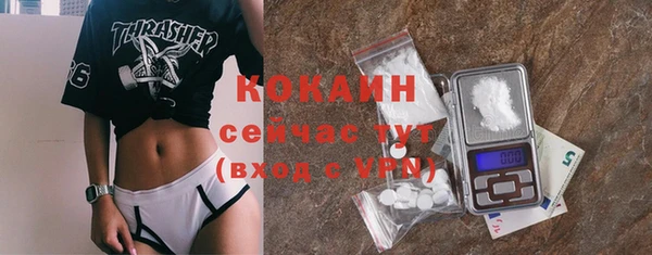 МДПВ Гусев