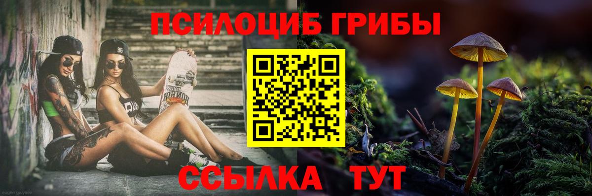 Альфа ПВП Борисоглебск