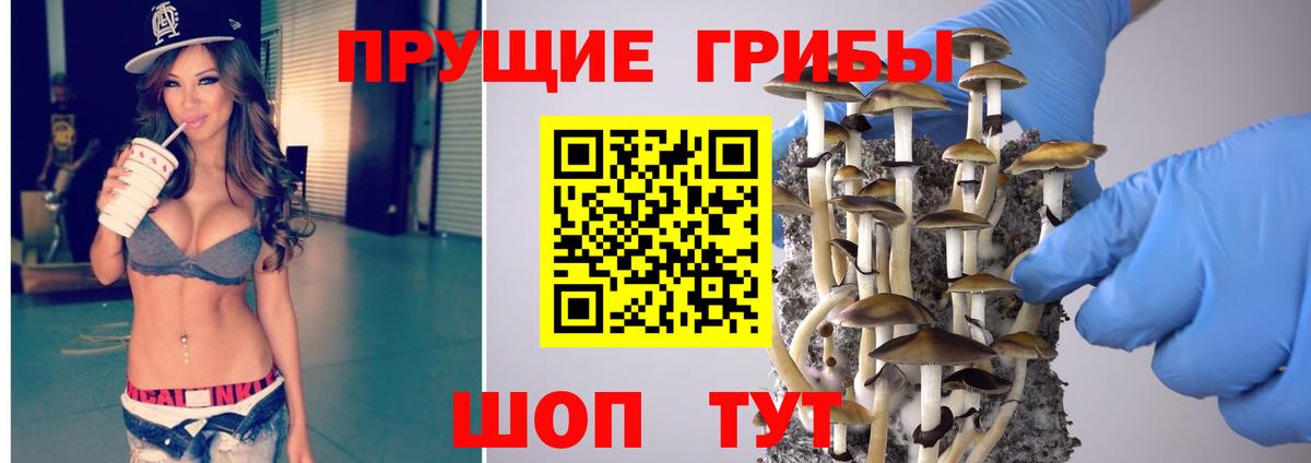 Псилоцибиновые грибы Psilocybine cubensis  Псилоцибиновые грибы Psilocybine cubensis  где можно купить   Борисоглебск  Вход с VPN 